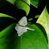 Leaf vein engraving on the backplate of the Green Monalisa sterling silver ring, highlighting intricate nature-inspired details.