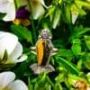 Handmade Gothic Coffin-Shaped Bumblebee Stone Ring - Image 4
