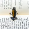 Handmade Gothic Coffin-Shaped Bumblebee Stone Ring - Image 2