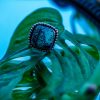 Whispers of the Earth-Shattuckite Sterling Silver Ring - Image 8