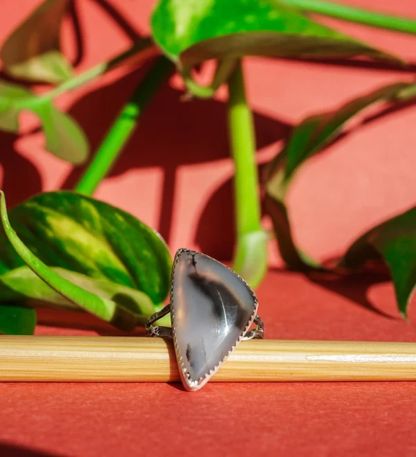 Enchanting Montana Agate Sterling Silver Ring - Image 3