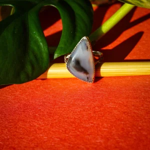 Handcrafted Montana Agate ring set in sterling silver with swirling whitish-grey and black patterns, featuring a unique fish-shaped window on the back for direct skin contact.