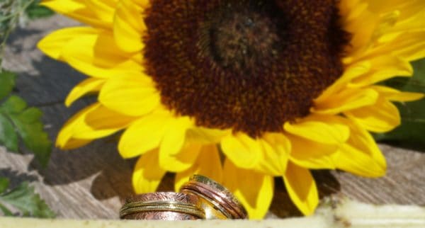 Brass/Copper spinner ring next to sunflower