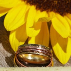 Top view of brass spinner ring showing spinners