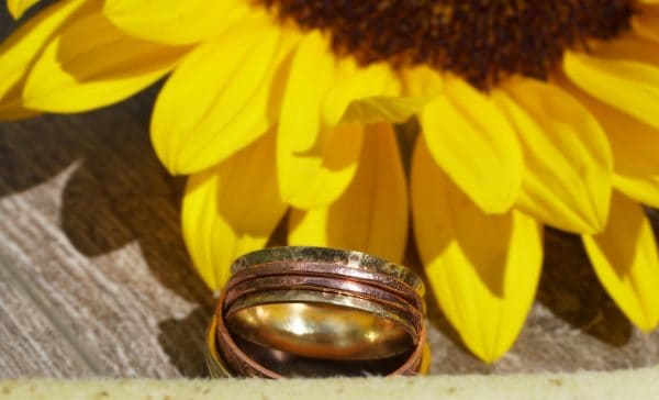 Top view of brass spinner ring showing spinners